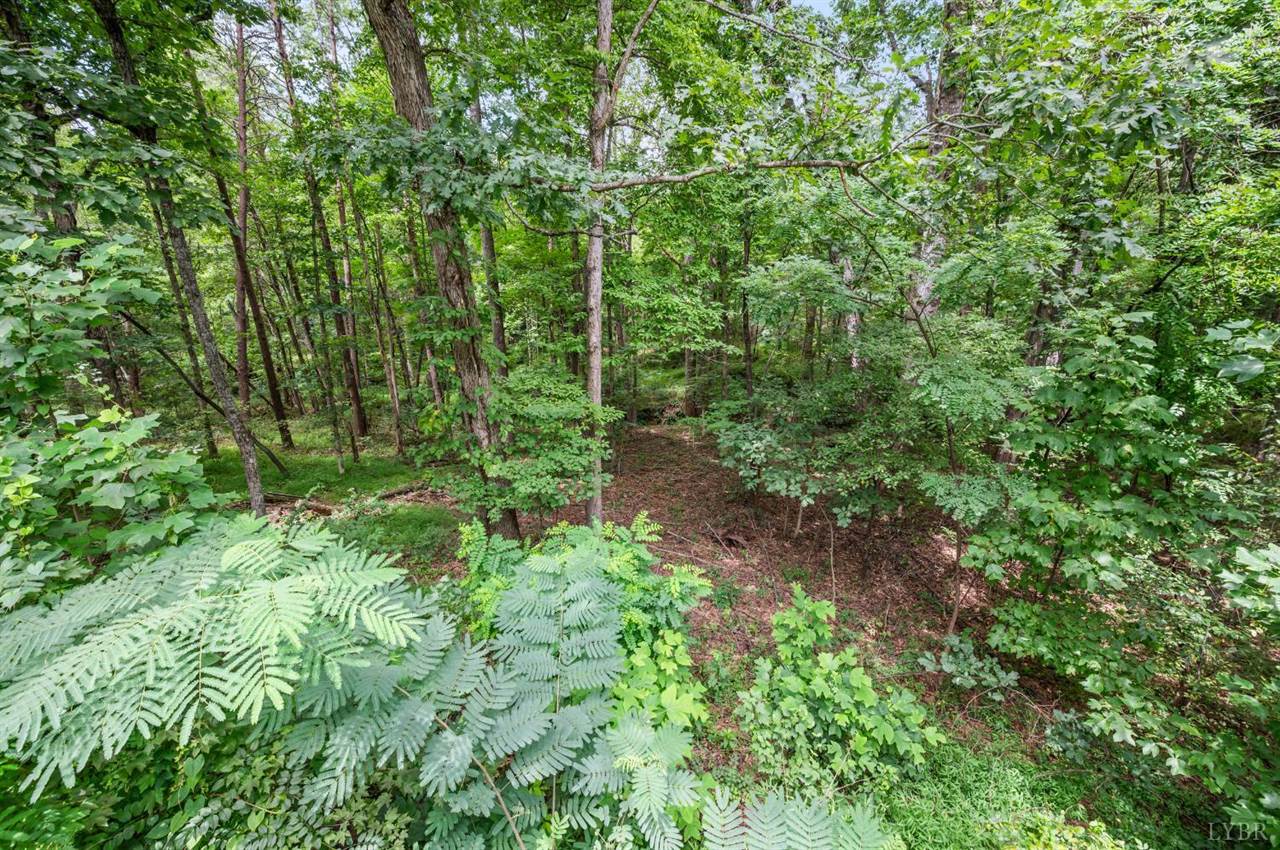 1097 Winn Drive, Moneta, VA 24121