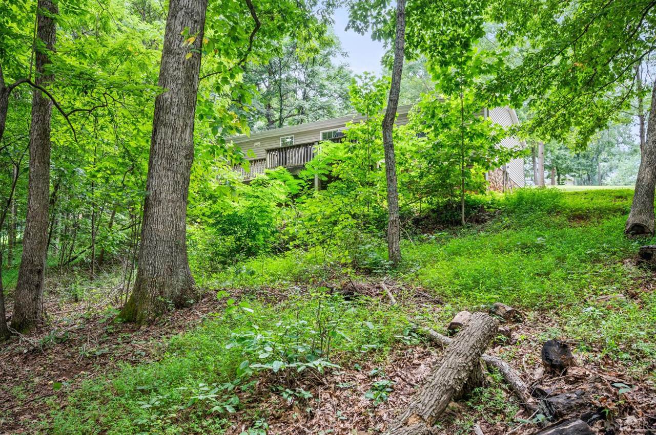 1097 Winn Drive, Moneta, VA 24121