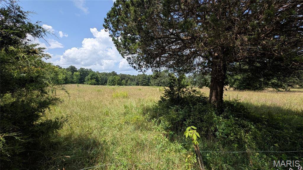 12352 West Highway 32, Salem, MO 65560