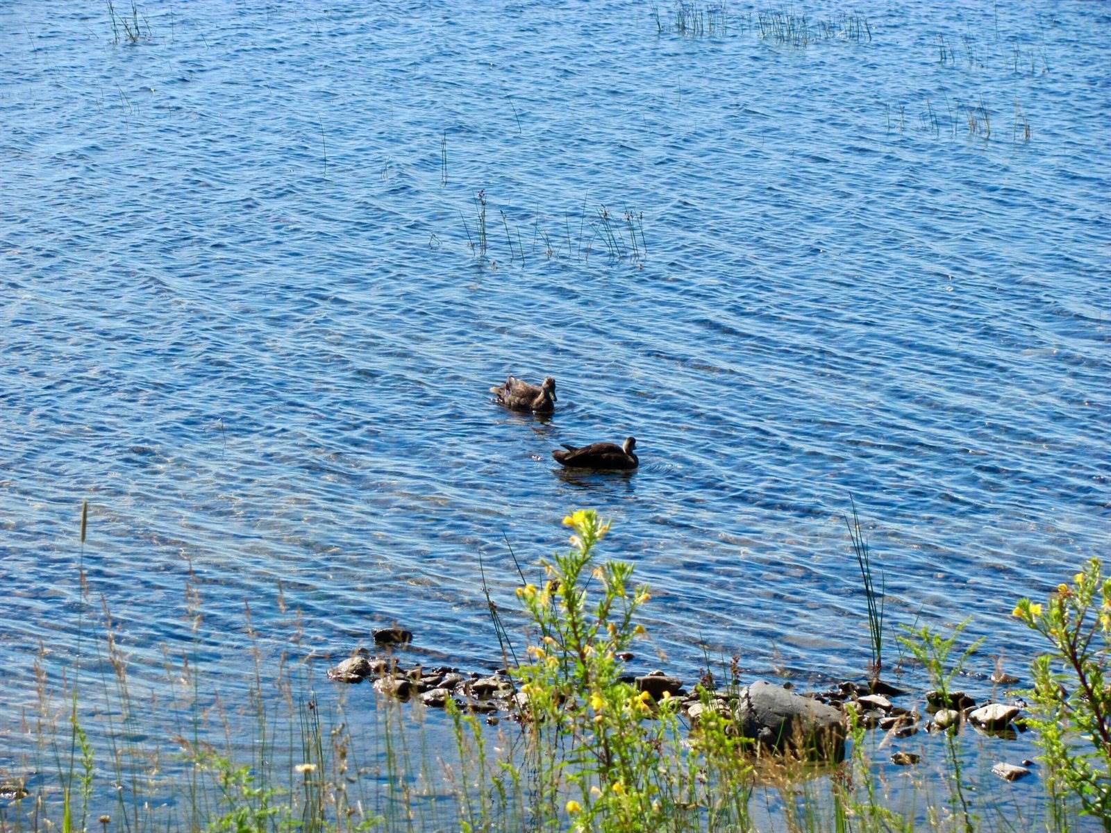 155 Deering Lake Road, Orient, ME 04471