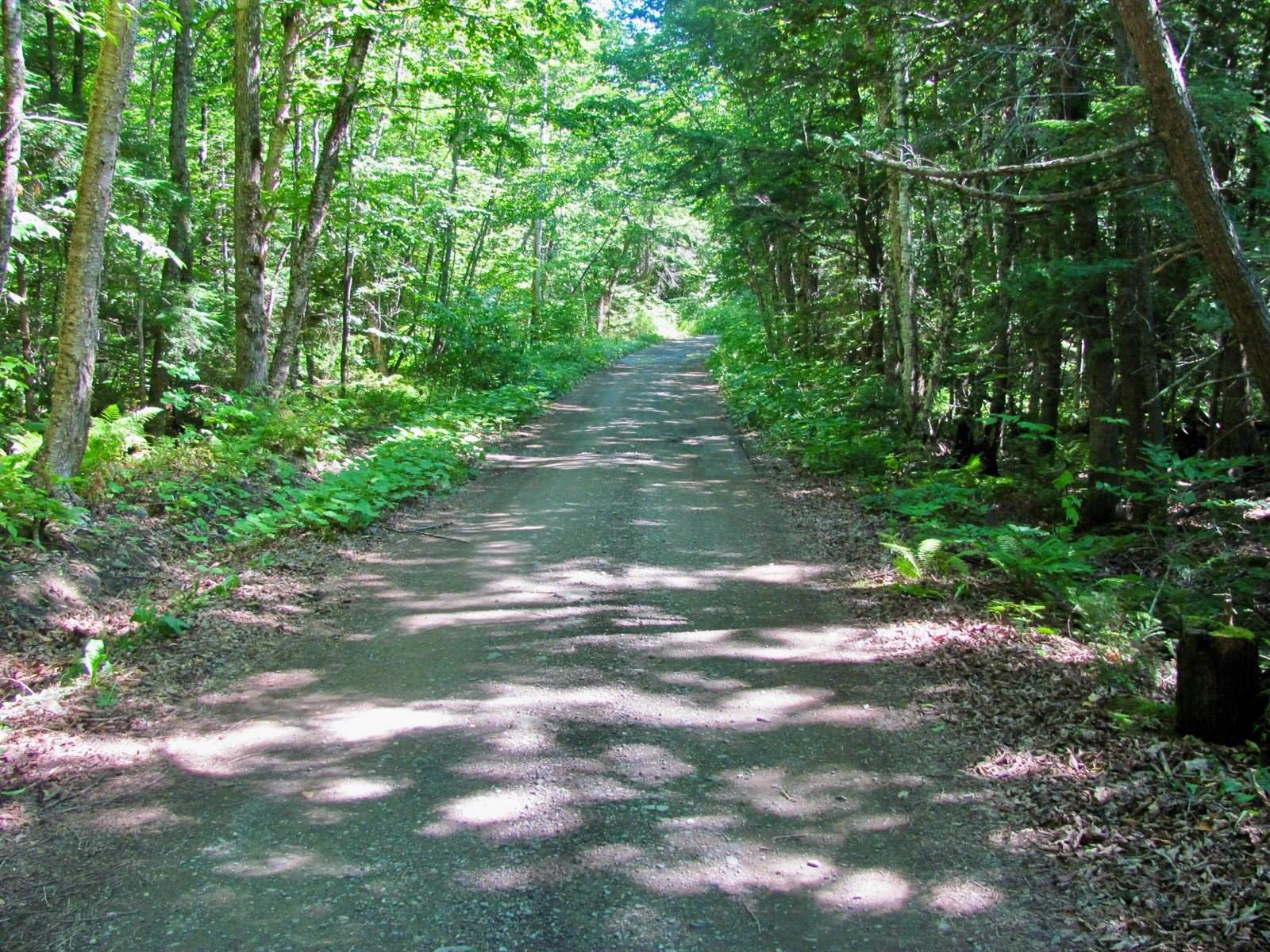 155 Deering Lake Road, Orient, ME 04471