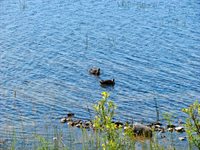 155 Deering Lake Road, Orient, ME 04471