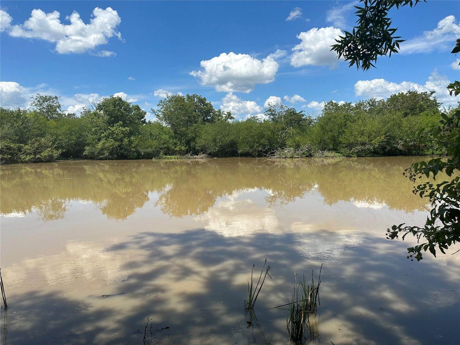 TBD Navasota Ridge Road, Navasota, TX 77868