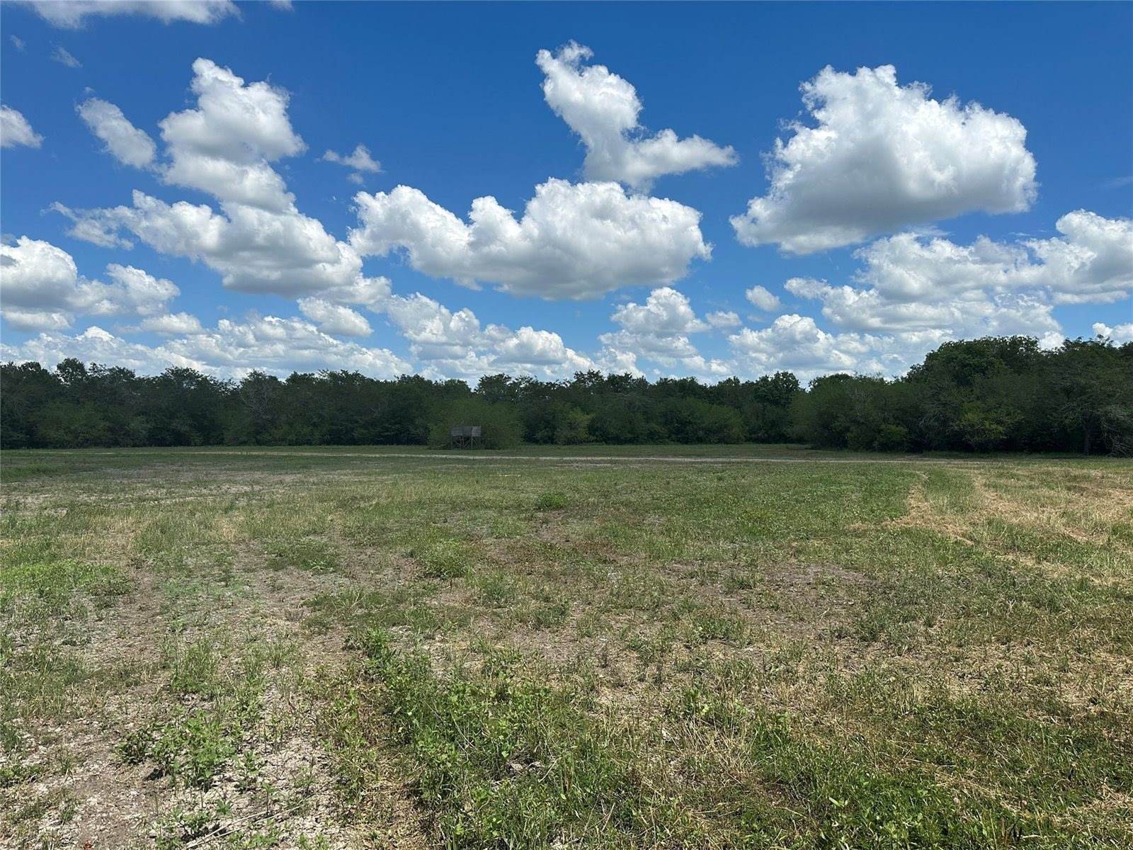 TBD Navasota Ridge Road, Navasota, TX 77868