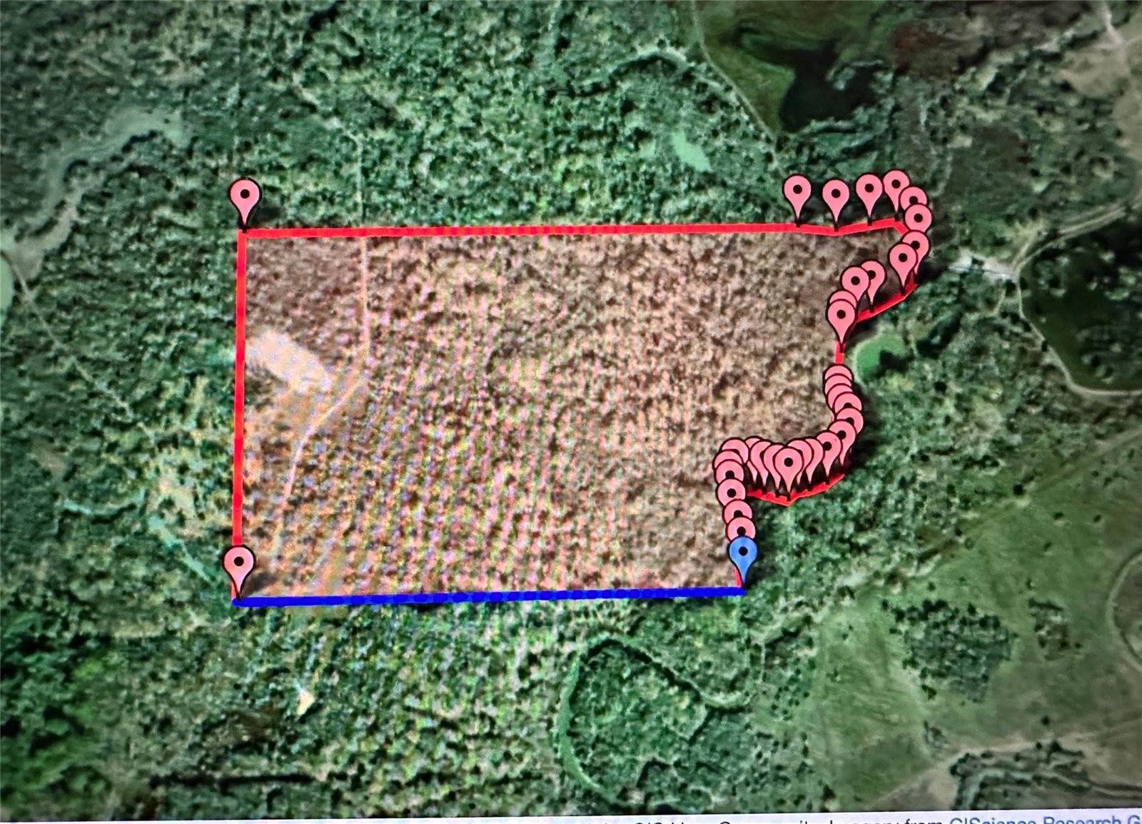 TBD Navasota Ridge Road, Navasota, TX 77868