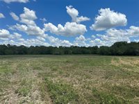 TBD Navasota Ridge Road, Navasota, TX 77868