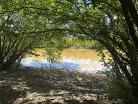 TBD Navasota Ridge Road, Navasota, TX 77868