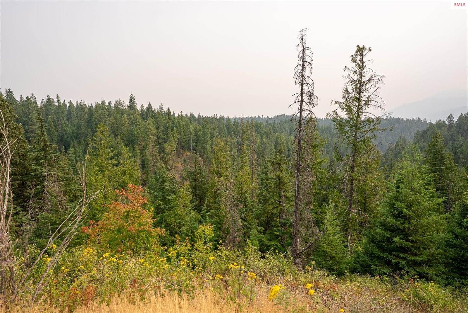 NKA Sandy Ridge Road, Naples, ID 83847