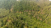 NKA Sandy Ridge Road, Naples, ID 83847