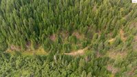 NKA Sandy Ridge Road, Naples, ID 83847