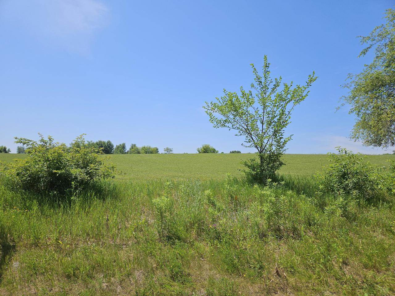 1515 W Main Street, Whitewater, WI 53190