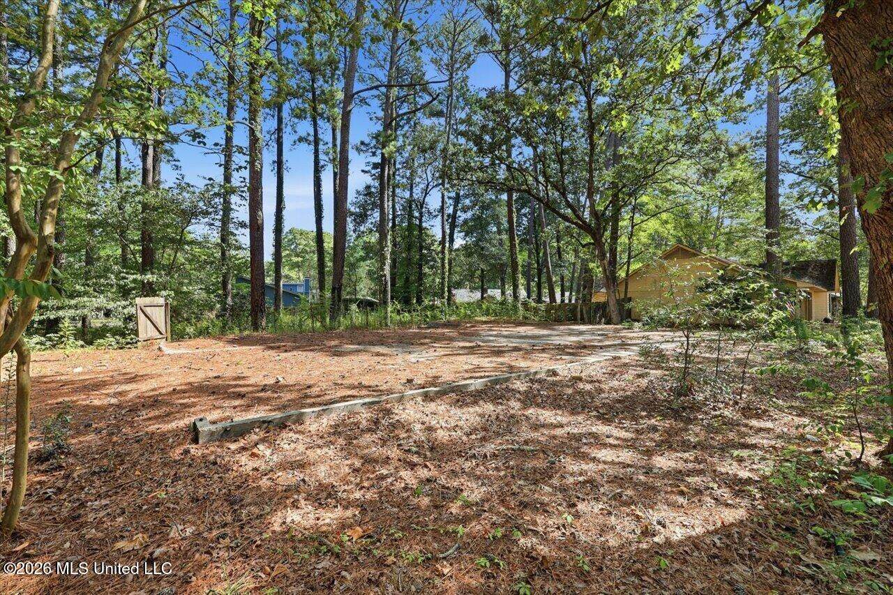 138 Dogwood Circle, Brandon, MS 39047