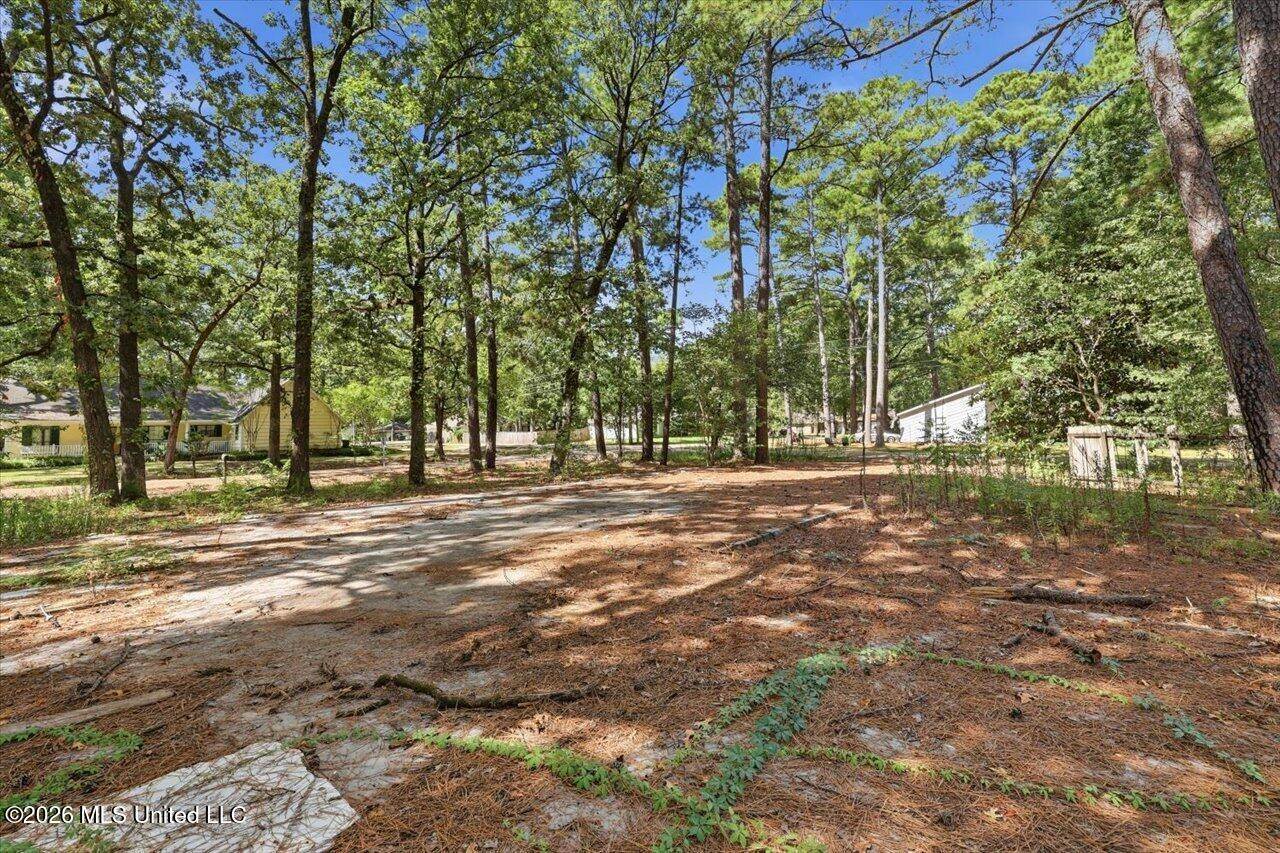 138 Dogwood Circle, Brandon, MS 39047