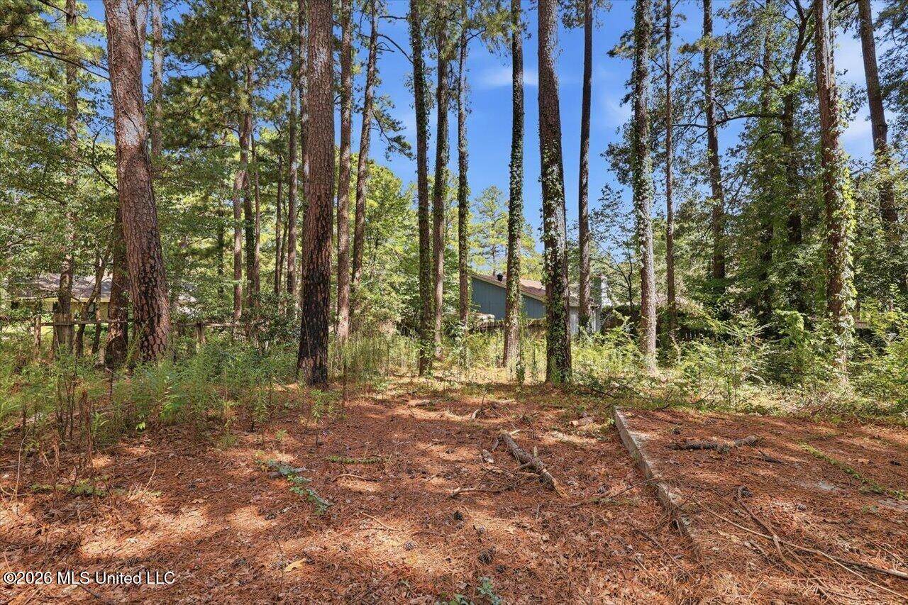 138 Dogwood Circle, Brandon, MS 39047