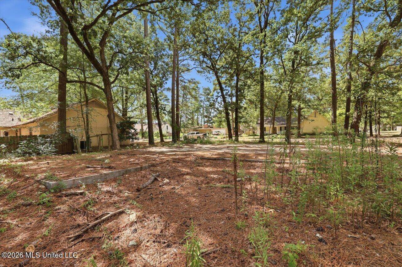 138 Dogwood Circle, Brandon, MS 39047