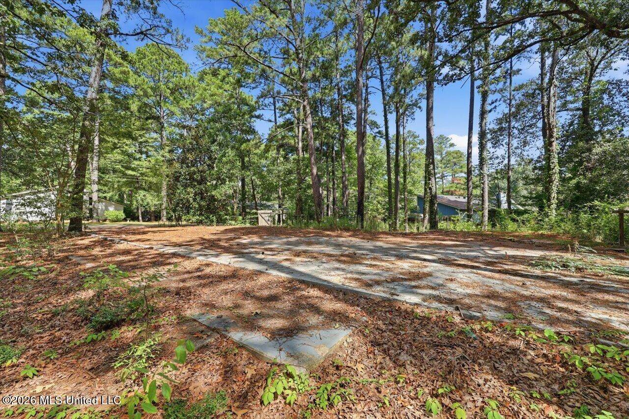 138 Dogwood Circle, Brandon, MS 39047