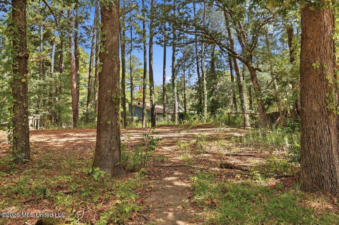 138 Dogwood Circle, Brandon, MS 39047