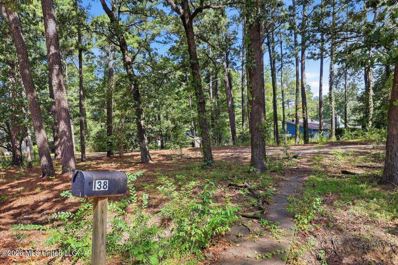 138 Dogwood Circle, Brandon, MS 39047