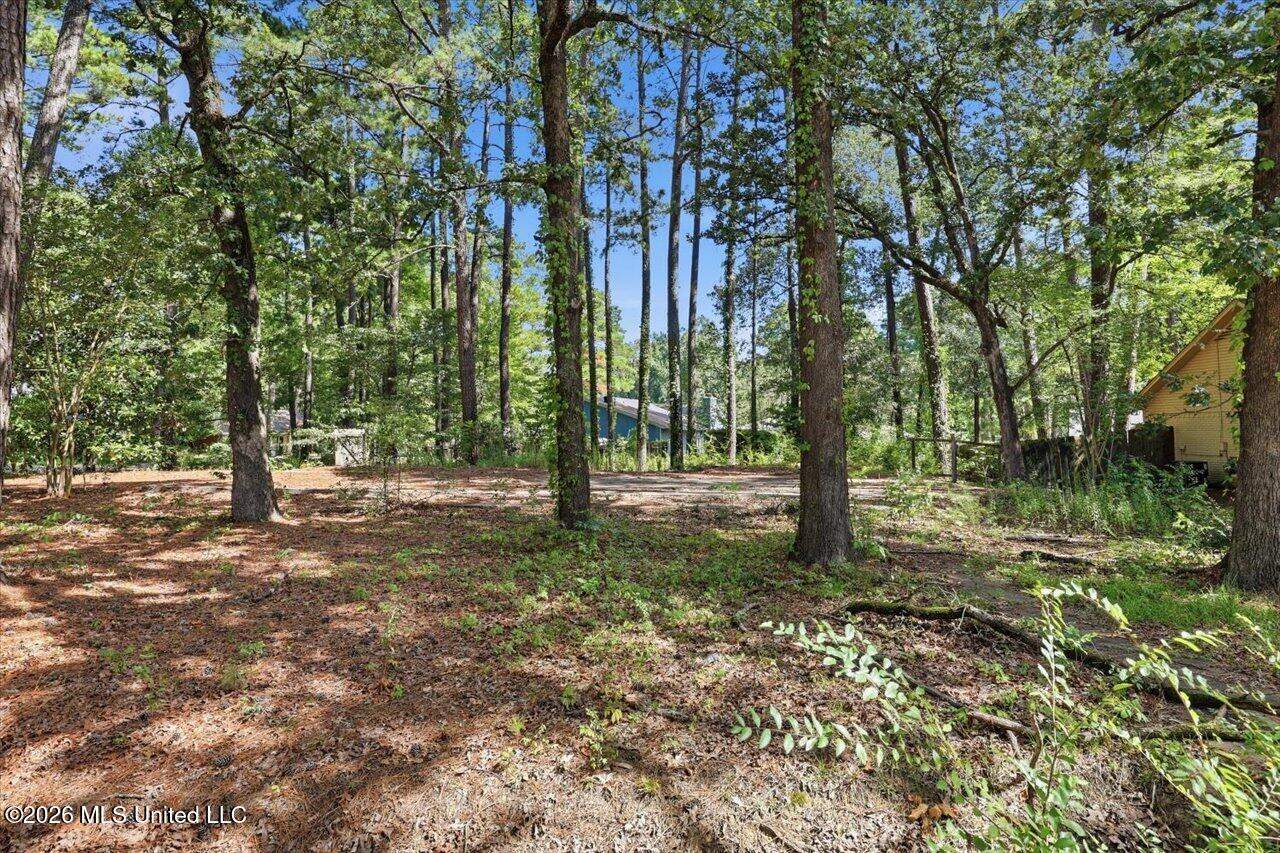 138 Dogwood Circle, Brandon, MS 39047