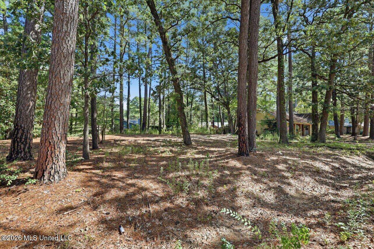 138 Dogwood Circle, Brandon, MS 39047