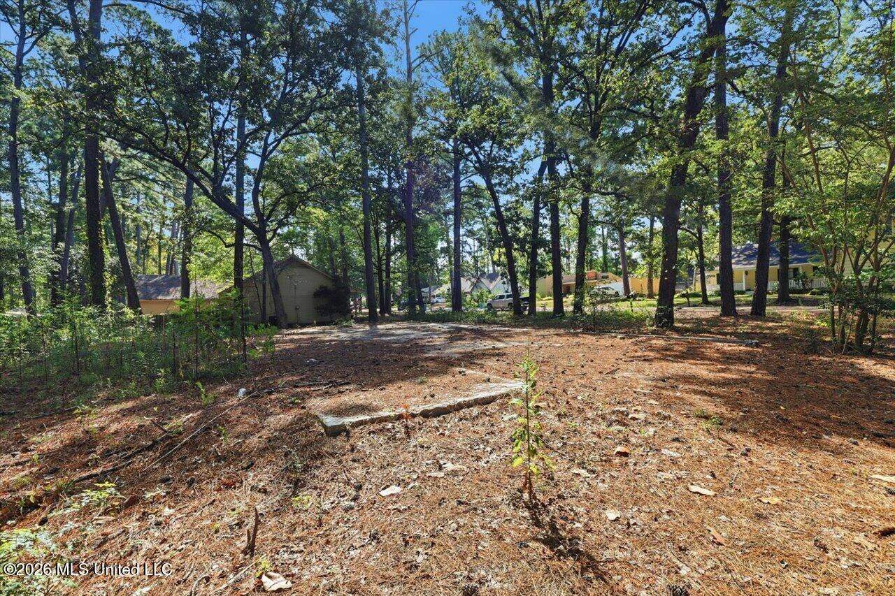 138 Dogwood Circle, Brandon, MS 39047