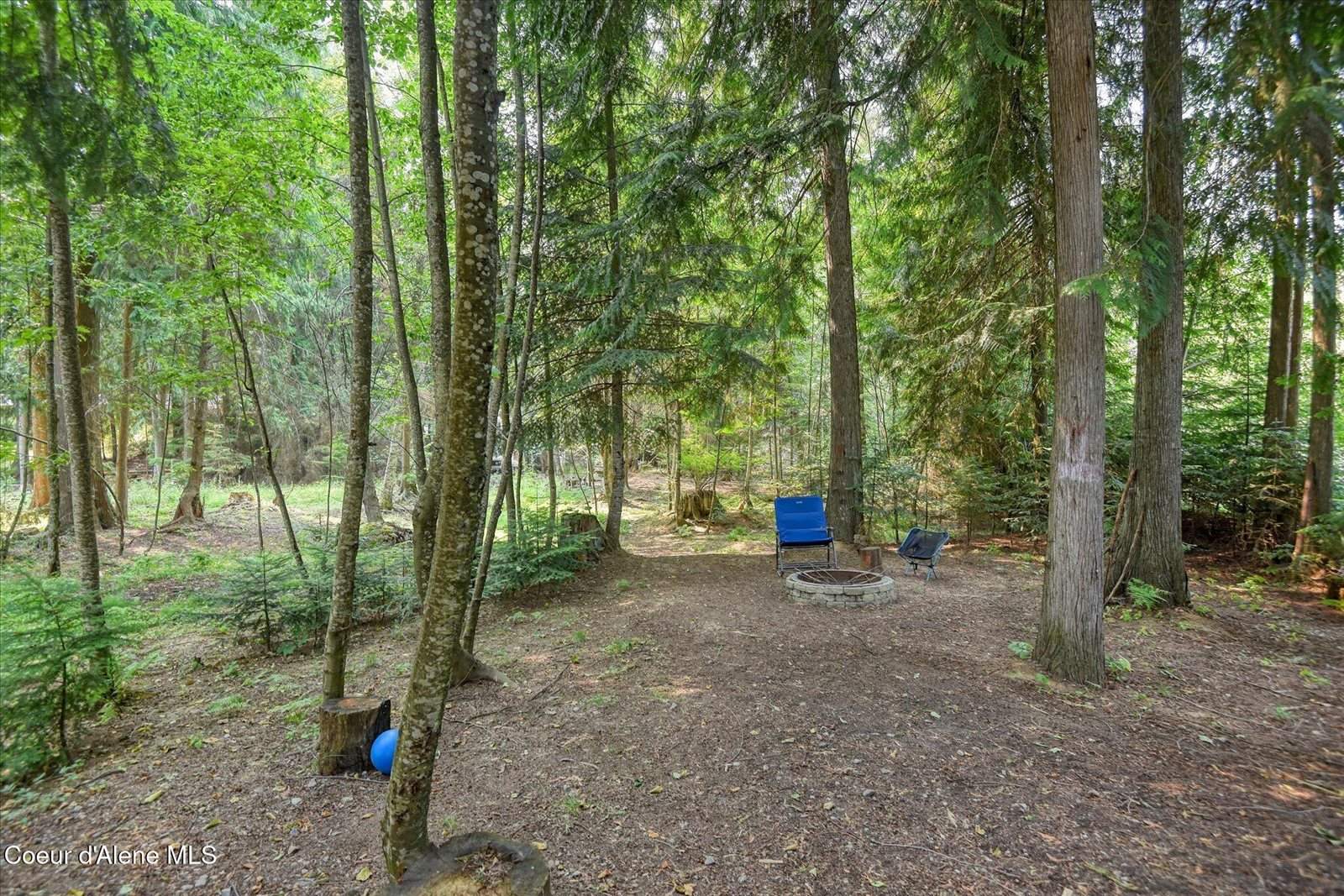 84 Big Burl, Sagle, ID 83860