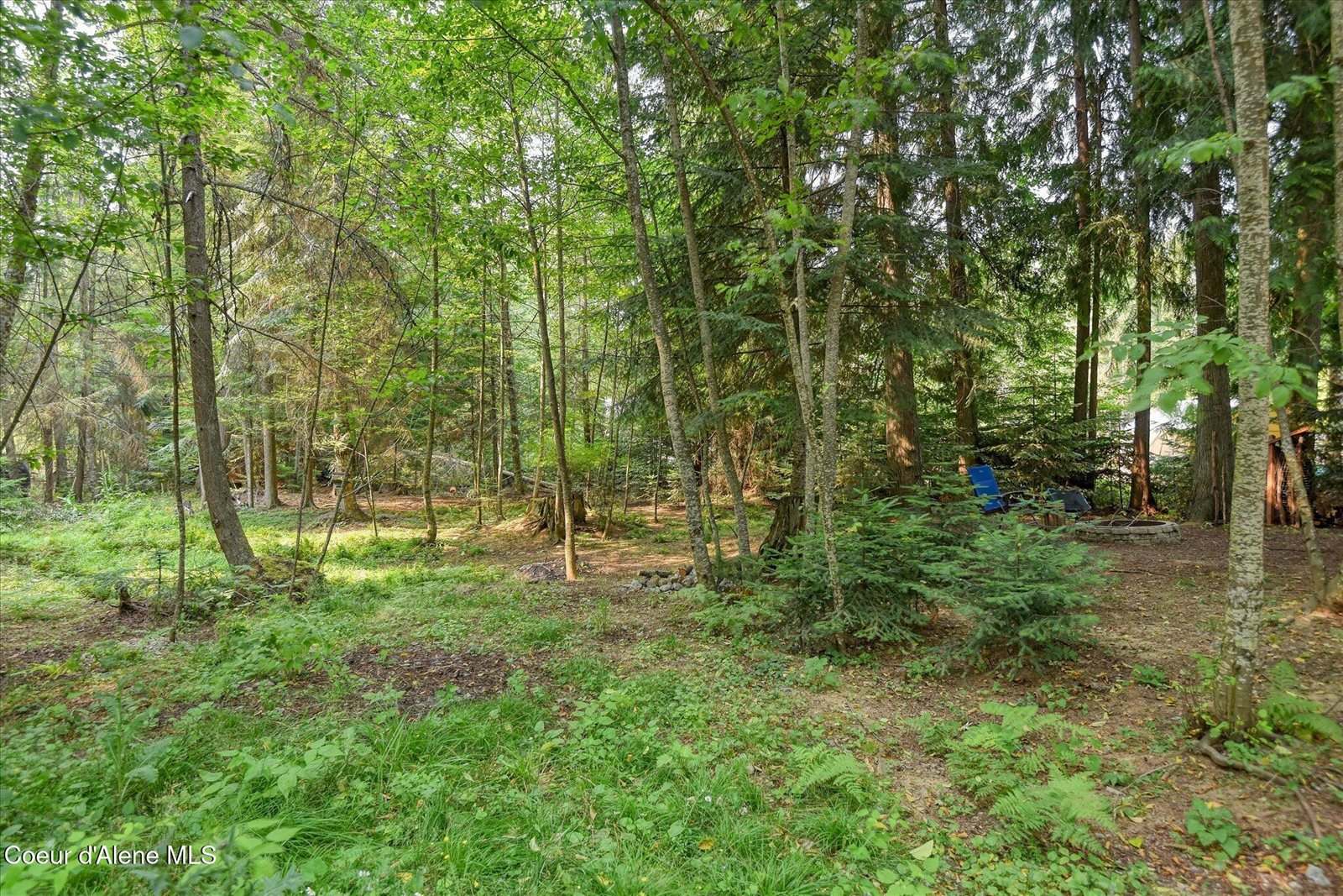 84 Big Burl, Sagle, ID 83860