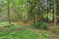 84 Big Burl, Sagle, ID 83860