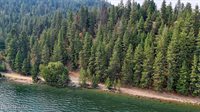 84 Big Burl, Sagle, ID 83860