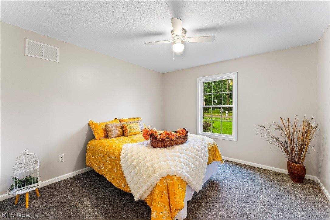 406 South Raccoon Road, Austintown, OH 44515