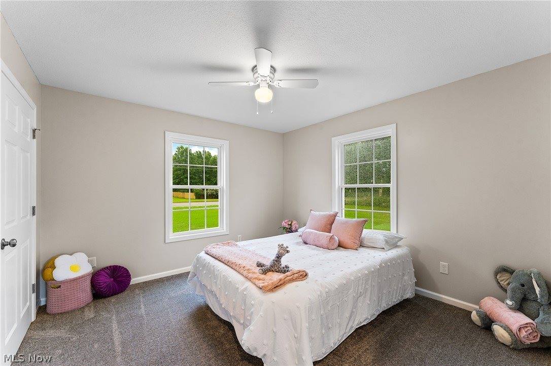 406 South Raccoon Road, Austintown, OH 44515