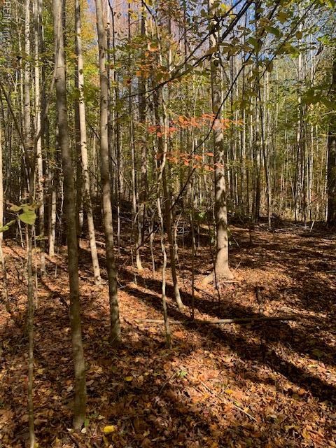 17+ac T.C. Walker Rd (Off of). Rt. 629 Lane, Gloucester, VA 23061
