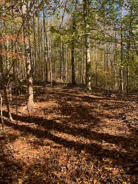 17+ac T.C. Walker Rd (Off of). Rt. 629 Lane, Gloucester, VA 23061