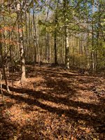 17+ac T.C. Walker Rd (Off of). Rt. 629 Lane, Gloucester, VA 23061