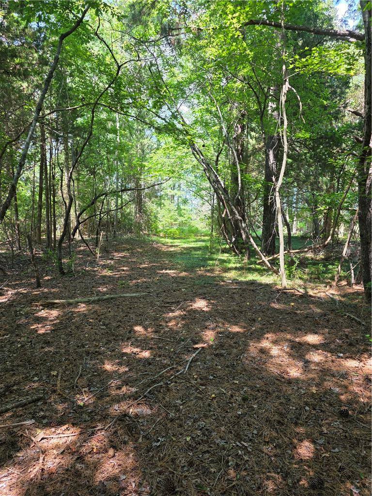 2 acr Horn Harbor Avenue, New Point, VA 23125
