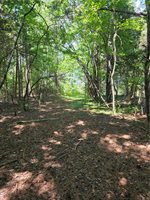 2 acr Horn Harbor Avenue, New Point, VA 23125