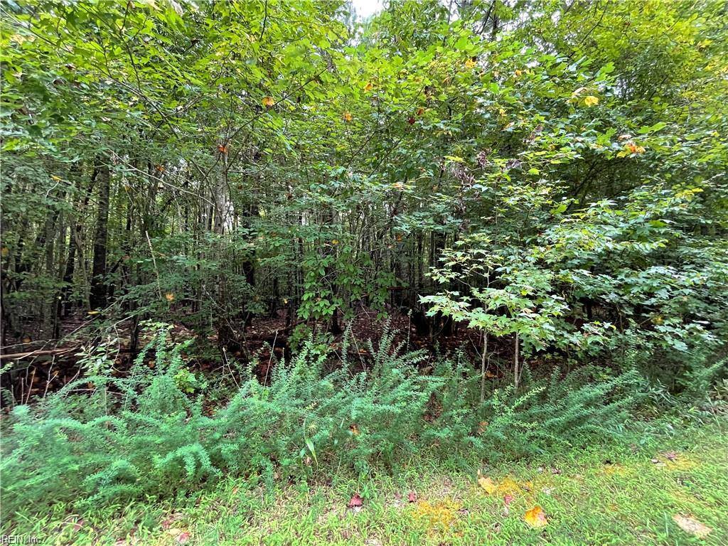 10+ac Beech Creek (10.88Ac) Road, Gloucester, VA 23061