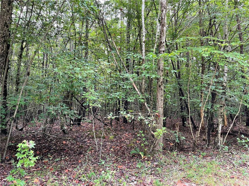 10+ac Beech Creek (10.88Ac) Road, Gloucester, VA 23061