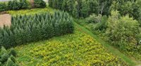 1 East Village Acres Dr. Drive, Easton, ME 04740