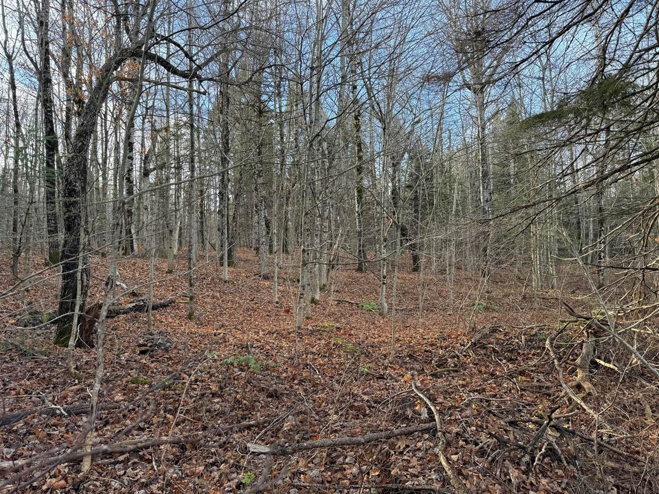 16 High Street, Westfield, ME 04787