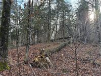 16 High Street, Westfield, ME 04787