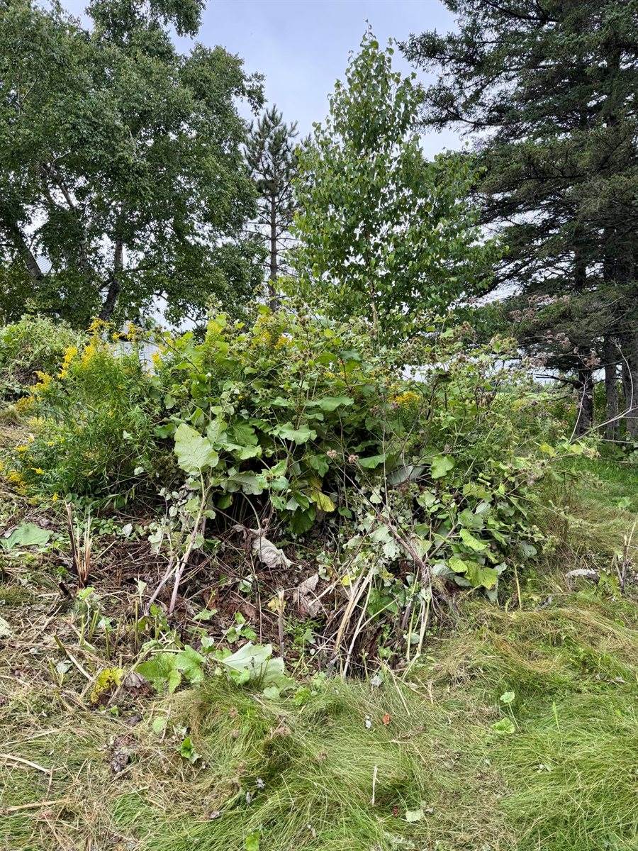 586 Robinson Road, Blaine, ME 04734