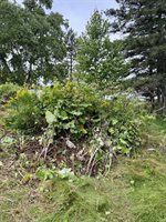 586 Robinson Road, Blaine, ME 04734