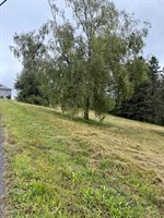 586 Robinson Road, Blaine, ME 04734