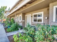 213 North Temple Drive, Milpitas, CA 95035