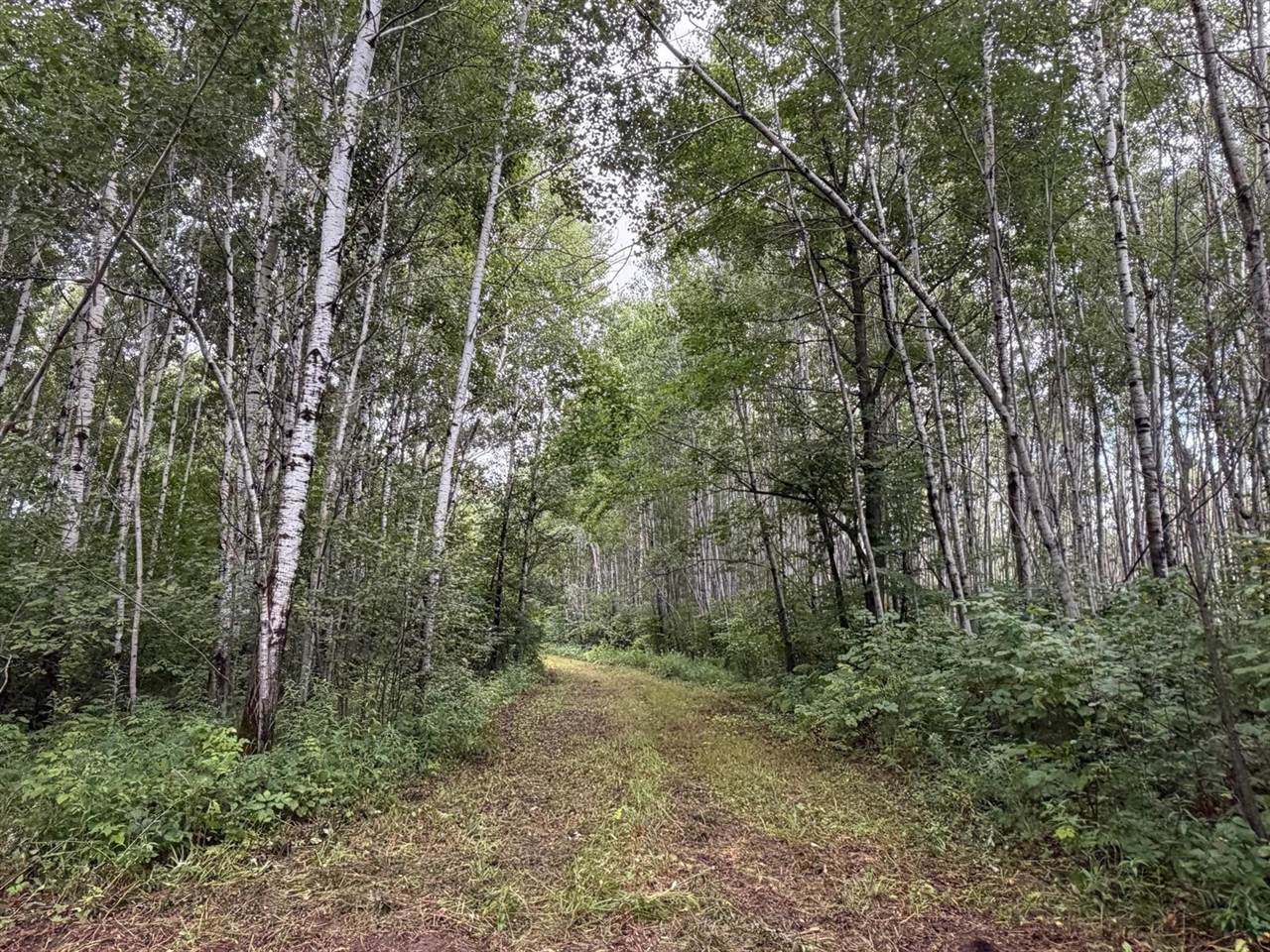 TBD County Road 12, Kettle River, MN 55767