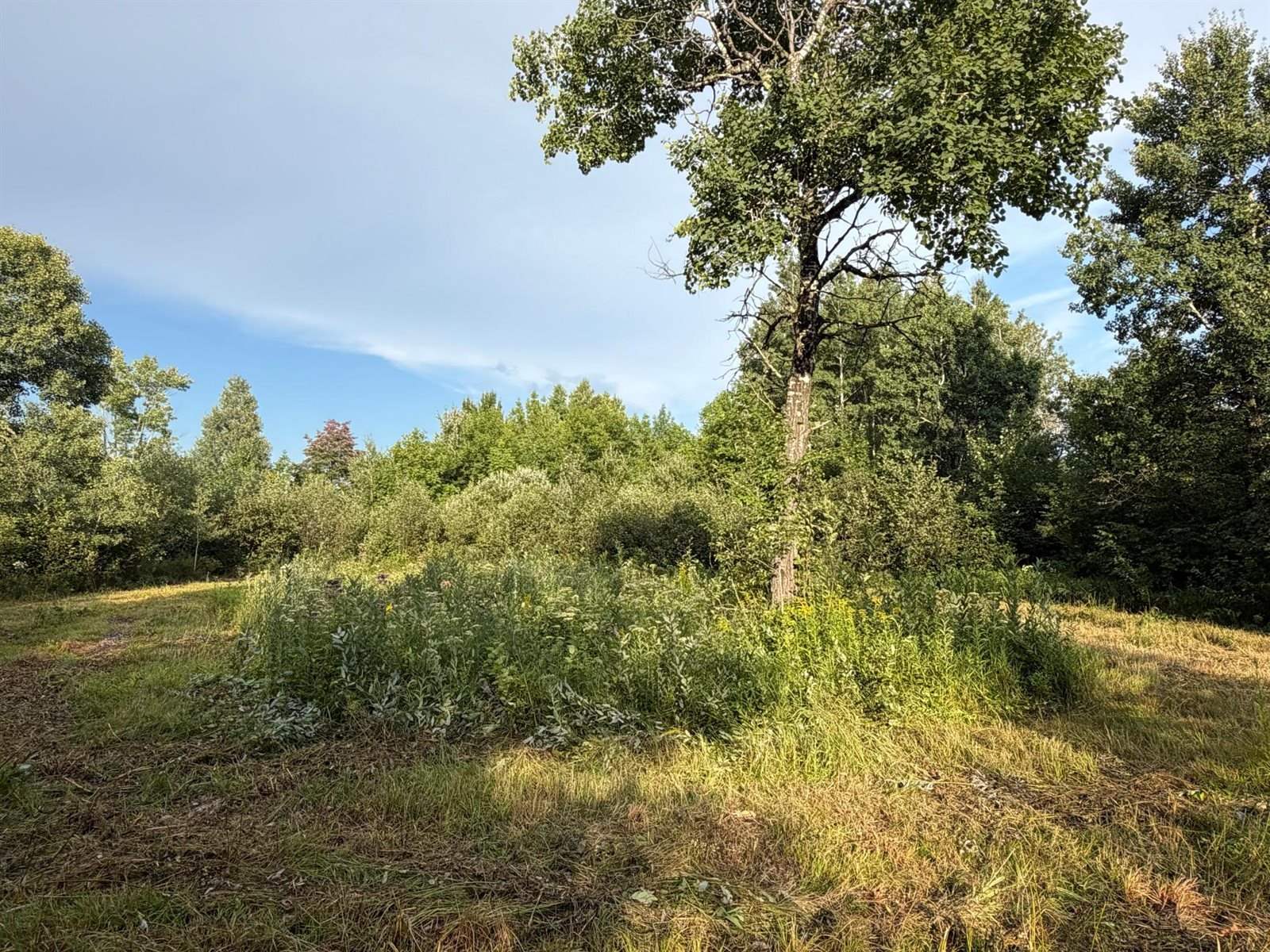 TBD County Road 12, Kettle River, MN 55767