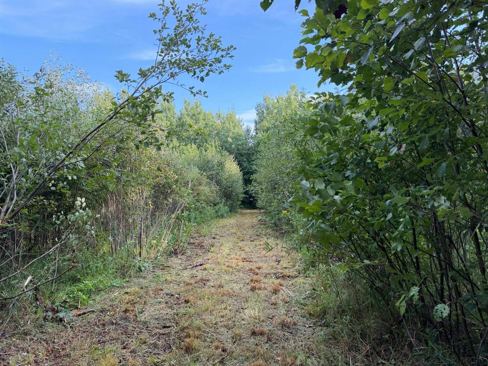 TBD County Road 12, Kettle River, MN 55767