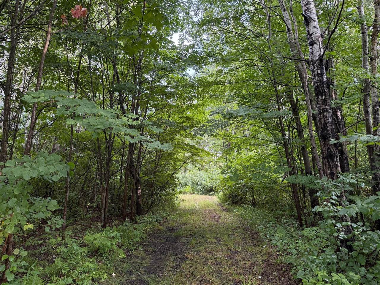 TBD County Road 12, Kettle River, MN 55767