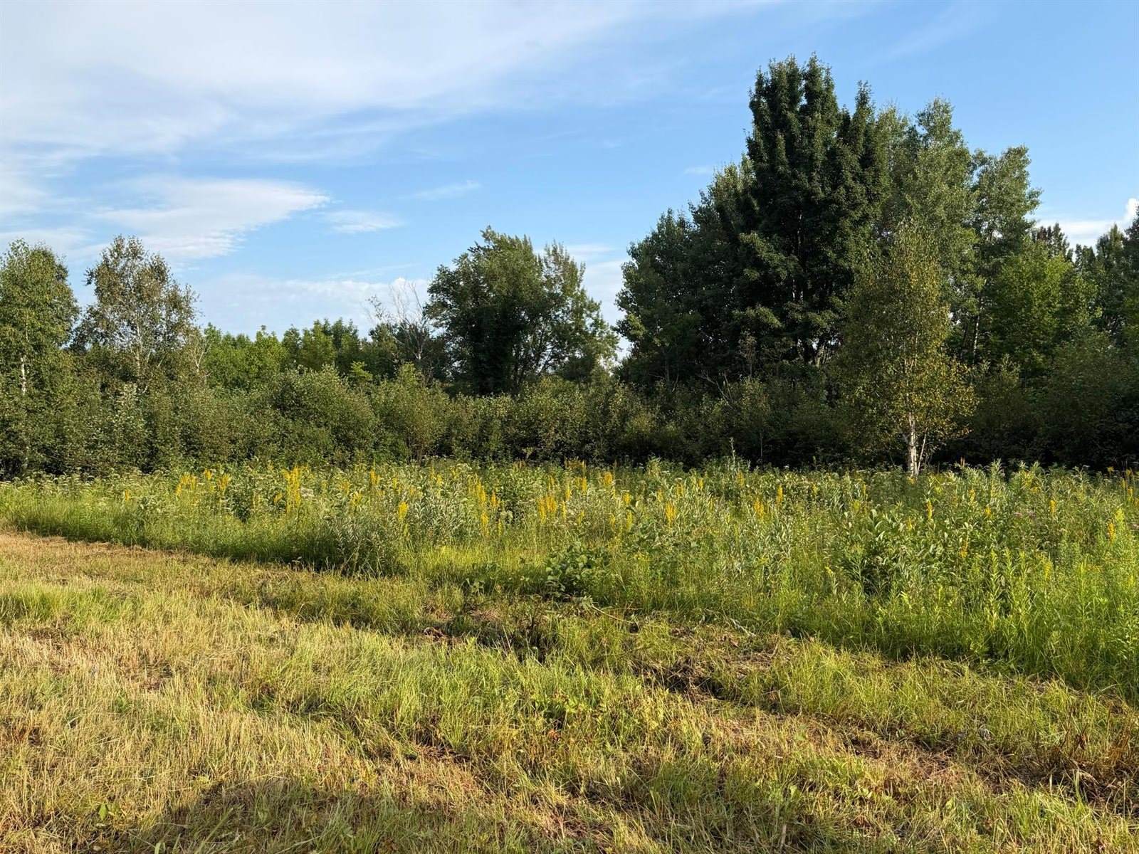 TBD County Road 12, Kettle River, MN 55767
